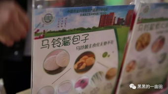 第十一届中国 滕州 马铃薯科技文化节开幕,马铃薯主食化产品让人大开眼界