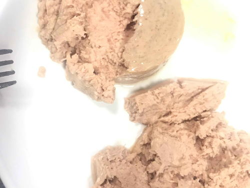 湖北成年猫咪湿粮价格