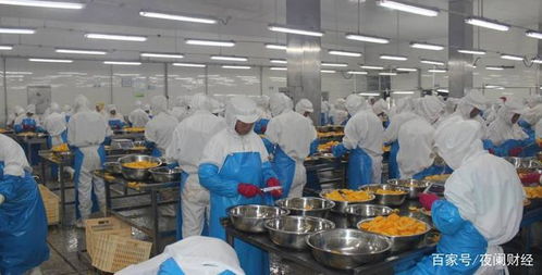 罐头年出口盈利350亿,国人视其为 垃圾食品 ,欧美人却当主食