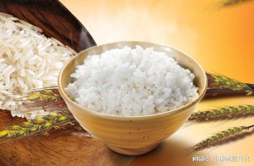 这10种易胖主食,不吃反而能瘦,亲测有效