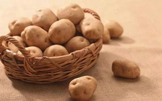 把主食换成它，三周降脂、八周降糖、十周降压，人人都会做的凉菜加工